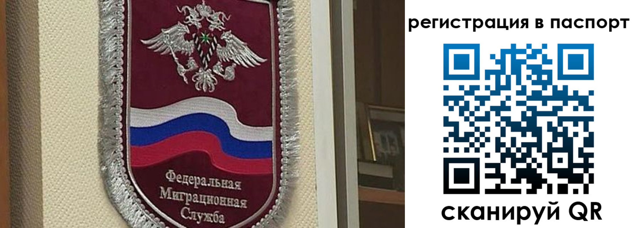 прописка законно в Боготоле